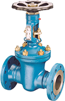 Gate valve with flange PN 63-100